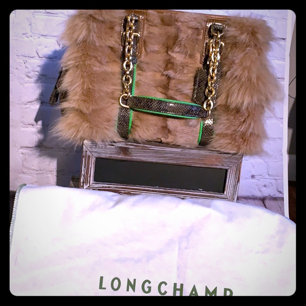 Long champ Satchel